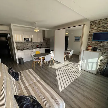 דירה Renove St-cyprien Plage, Climatise - Fr-1-106-110