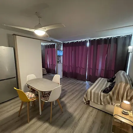 Rénové St-cyprien Plage, Climatisé - Fr-1-106-110 Appartement *