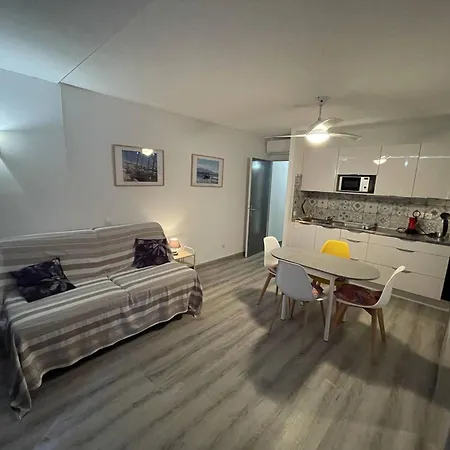 Renove St-cyprien Plage, Climatise - Fr-1-106-110 סן סיפריאן